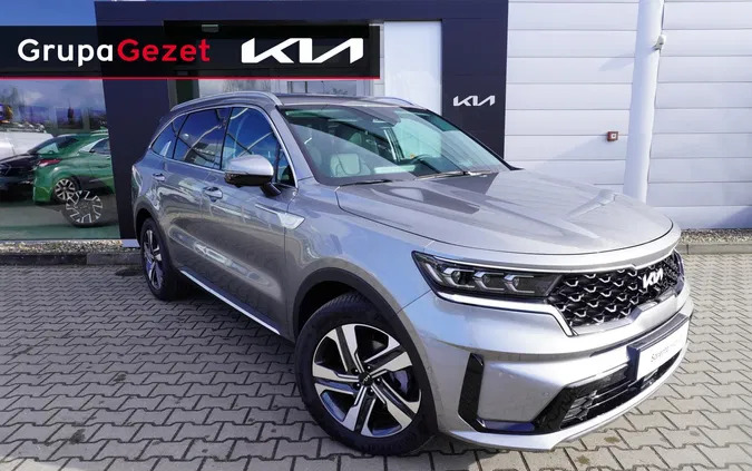 ujazd Kia Sorento cena 239900 przebieg: 5, rok produkcji 2024 z Ujazd